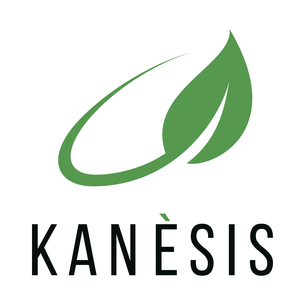 kanesis_v 1